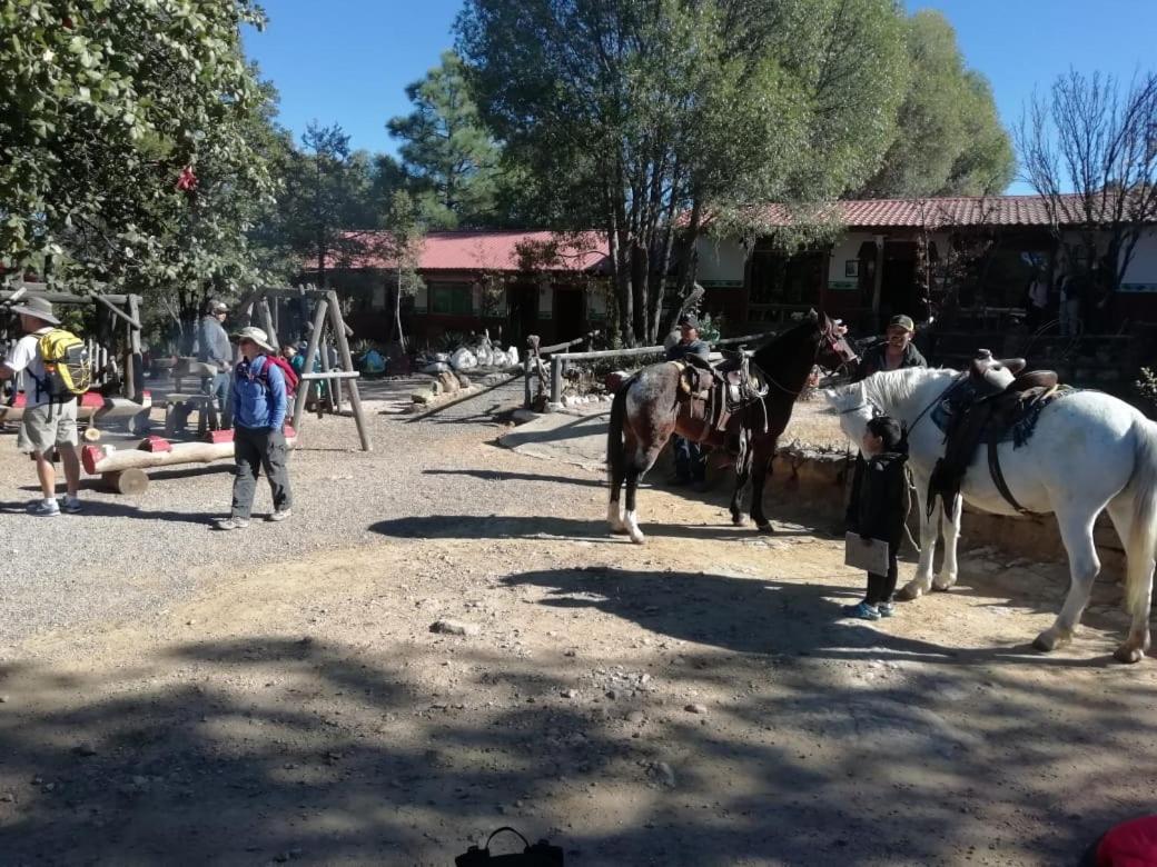 Rancho Cabanas San Isidro Cerocahuí Exterior foto